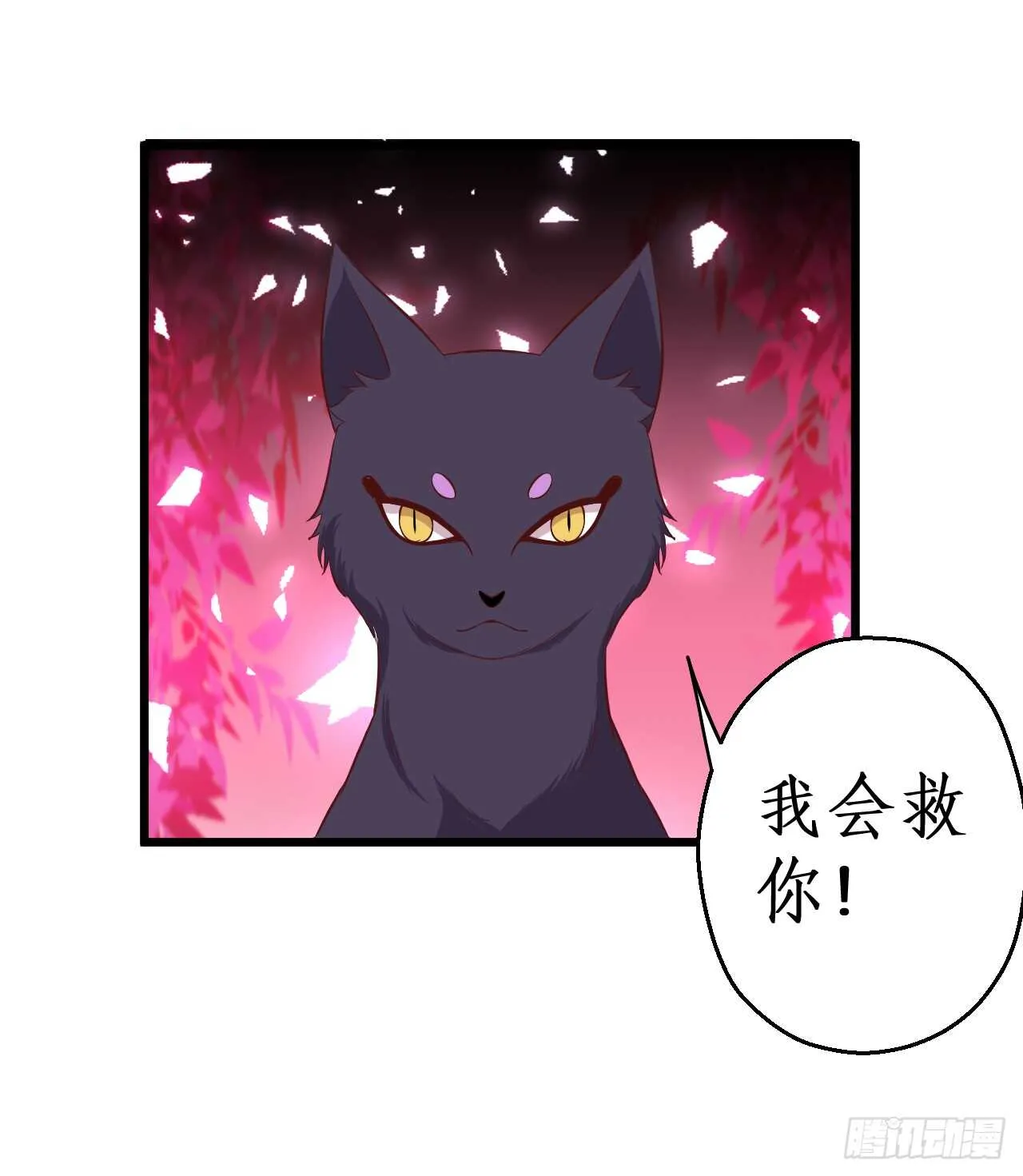 小猫咪！需要我帮忙吗！ 第22页