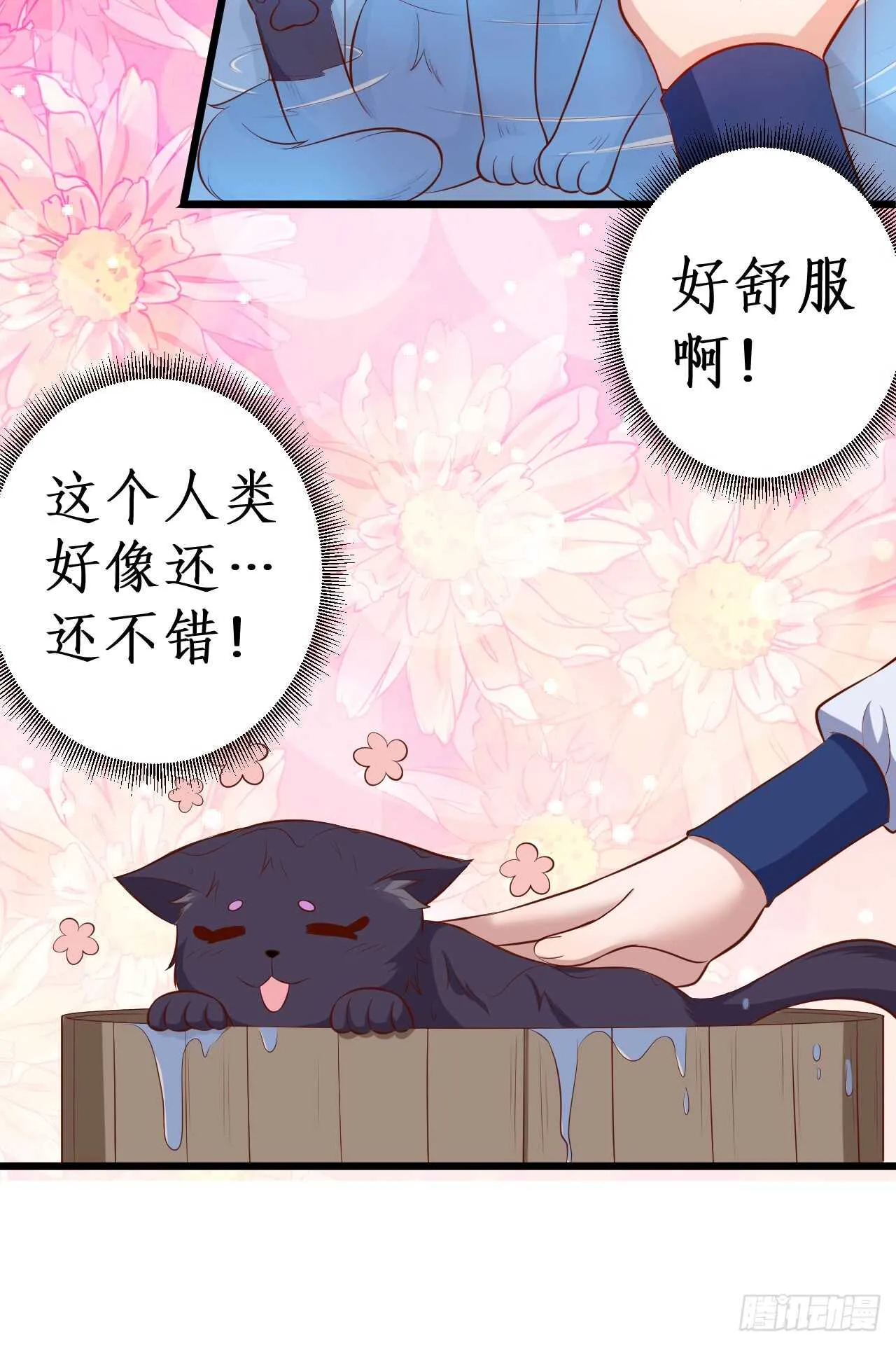 猫奴福利！小猫妖登场！ 第88页