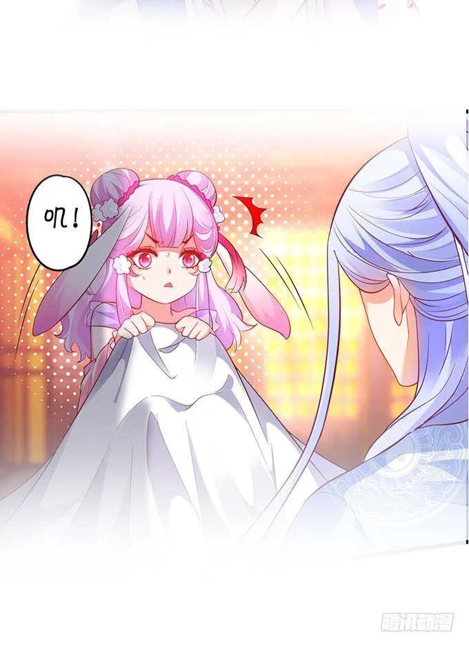小兔子，你不能有事！ 第85页