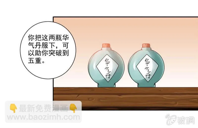 第二武魂 第11页