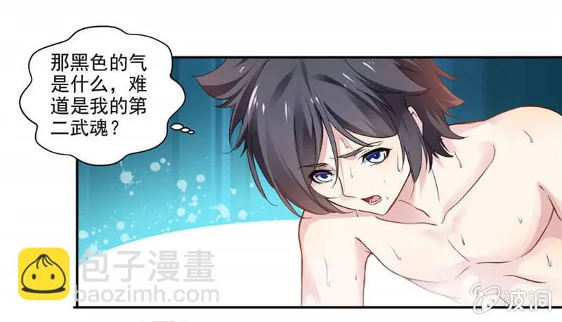 第二武魂 第25页