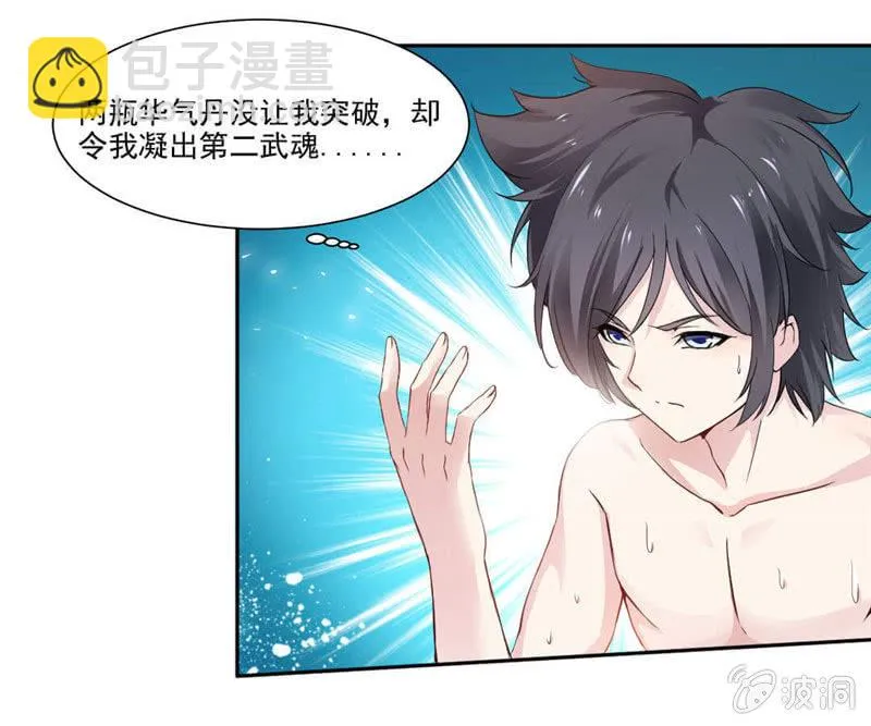 第二武魂 第27页