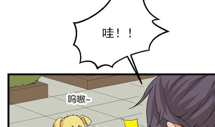 第15话 碰瓷 第11页