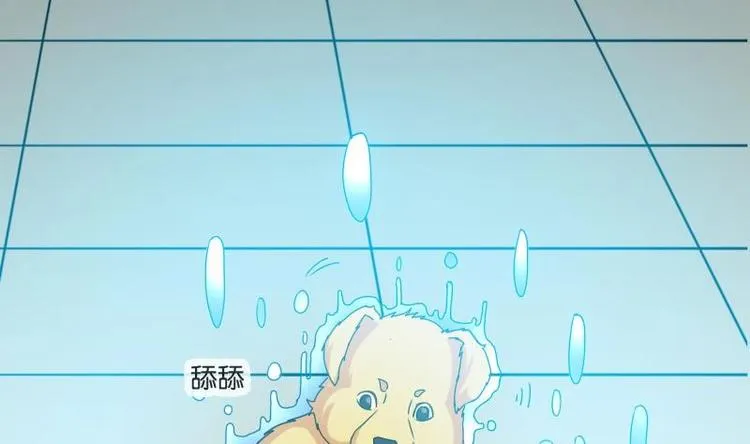 第15话 碰瓷 第13页