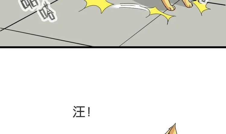 第15话 碰瓷 第21页