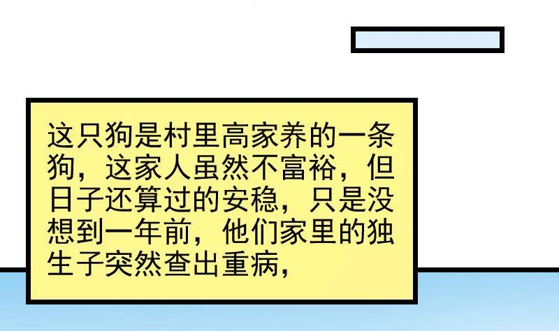 第44话 报恩 第13页