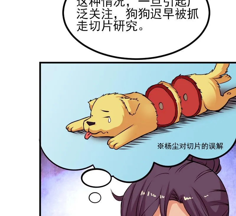 第44话 报恩 第35页