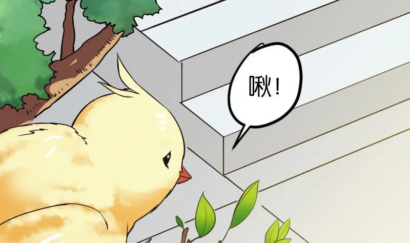 第111话 凯旋 第35页