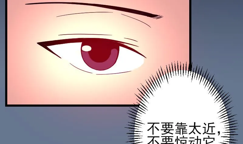 第137话 猛禽 第11页