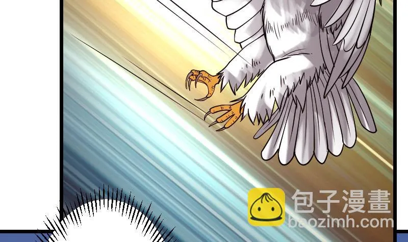 第138话 雏鹰 第11页