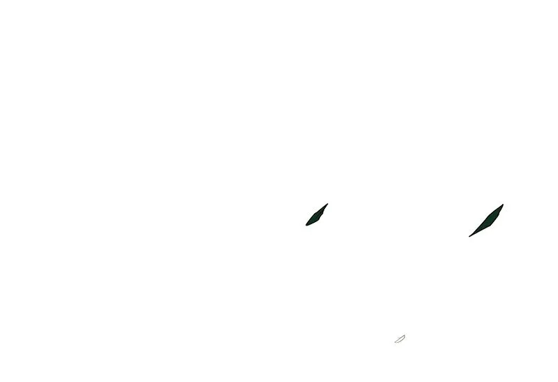 5 一胸之恩 第53页