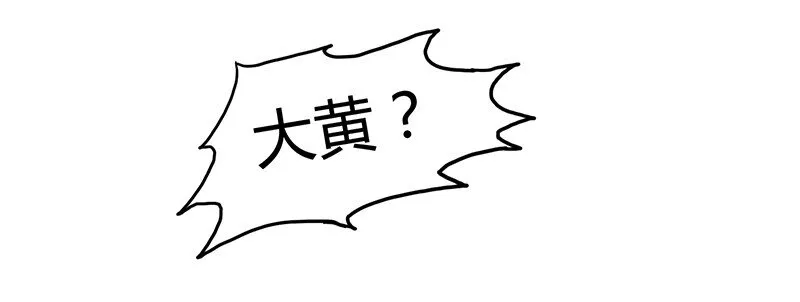 6 抱歉，我不叫大黄 第36页