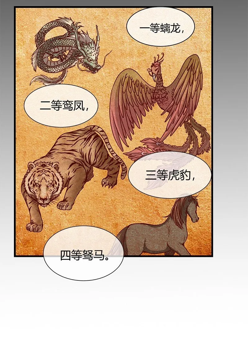 12 天赋异禀 第6页
