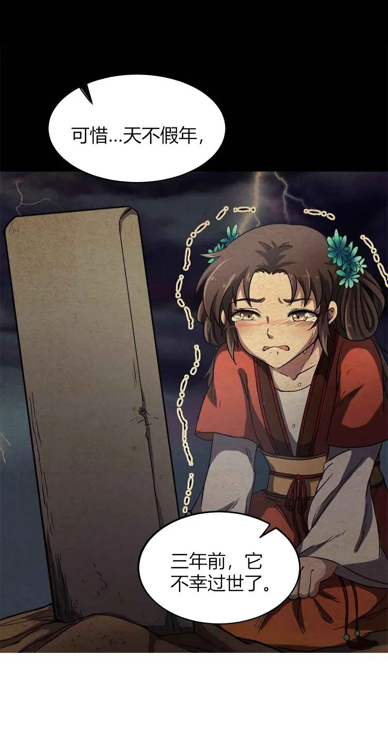 17 约定 第6页