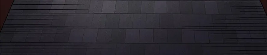 31 夺尸 第11页