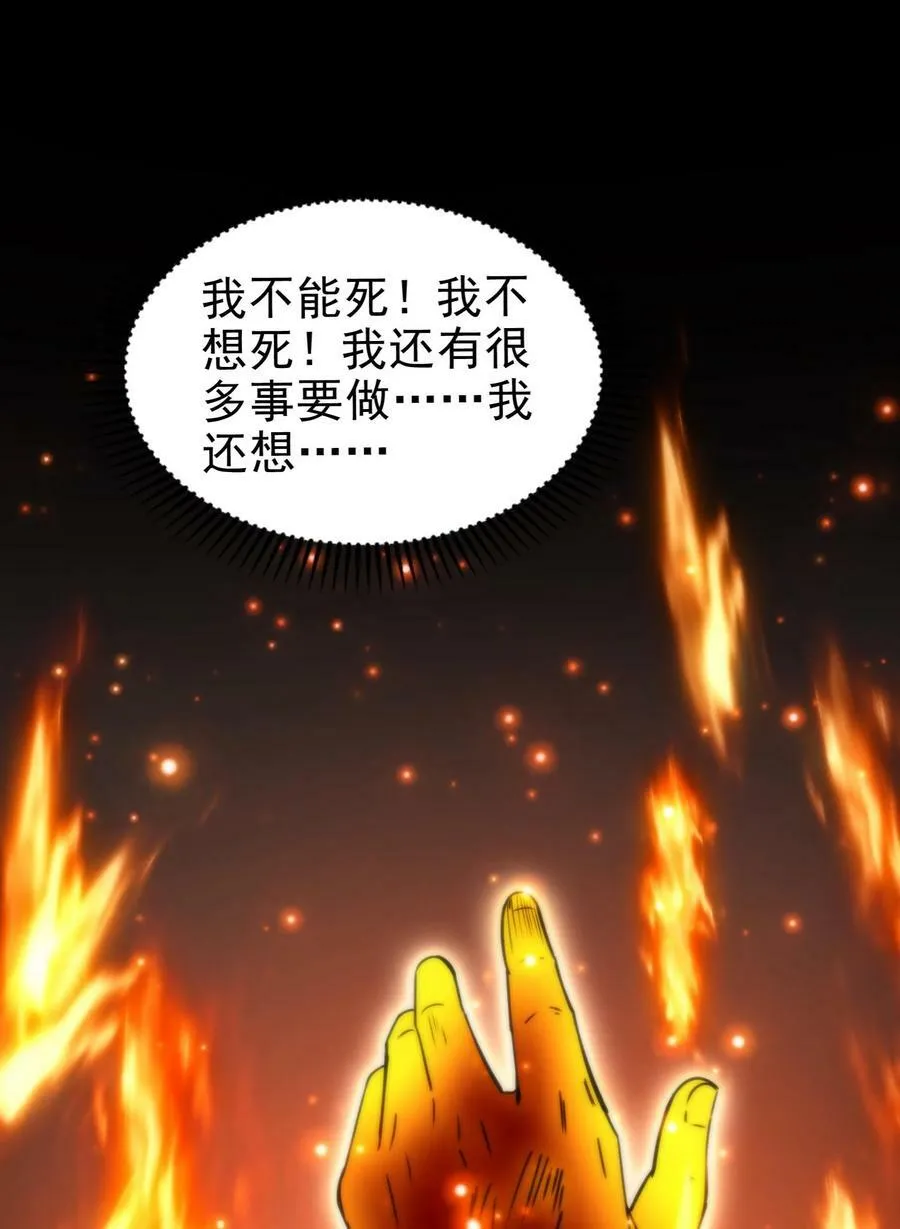 245 半步天封 第27页