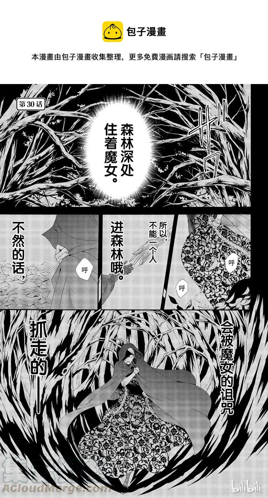 030话 030 第1页