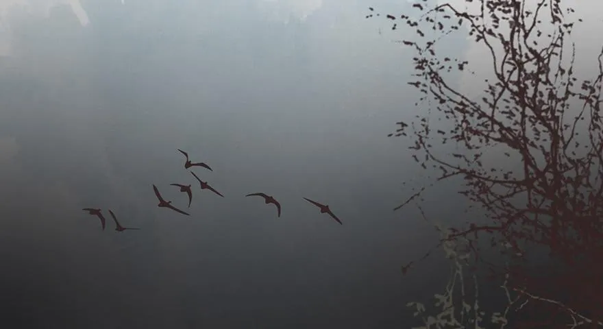 鬼笔筒（三十一）一把火烧了干净 第47页