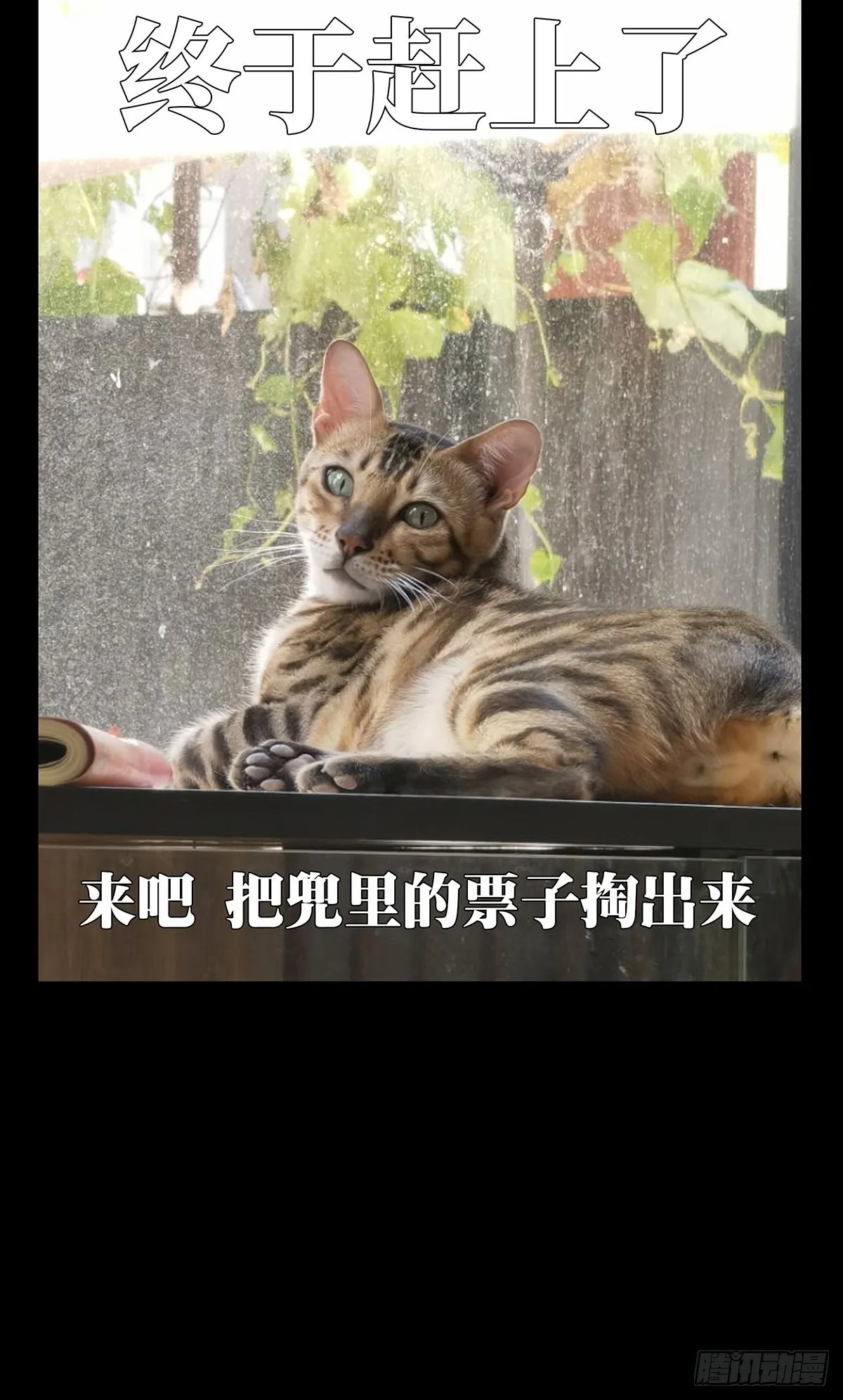 第二百五十五章_决赛开始下 第44页