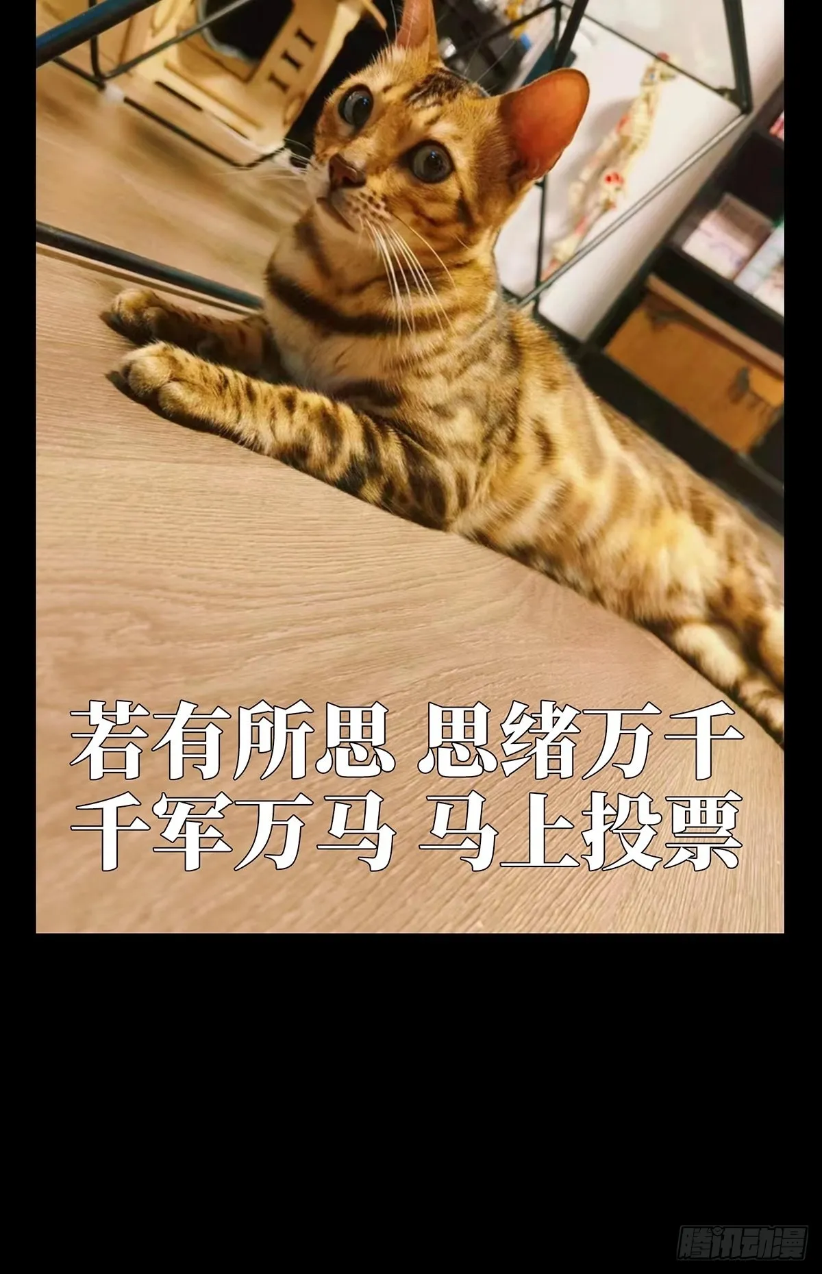 第二百五十七章_入侵中 第47页