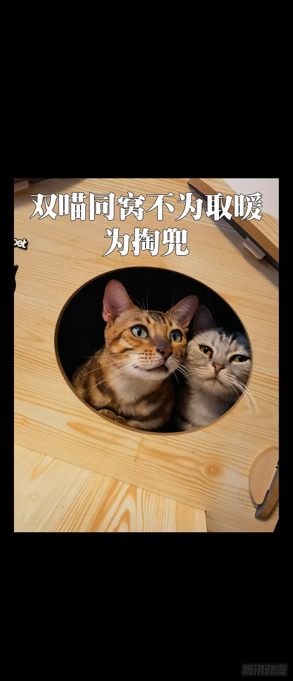 第二百六十章_内鬼中 第40页
