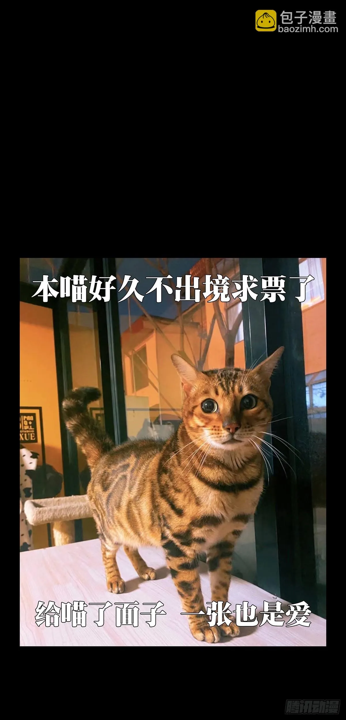 第二百八十六章_怨念上 第51页