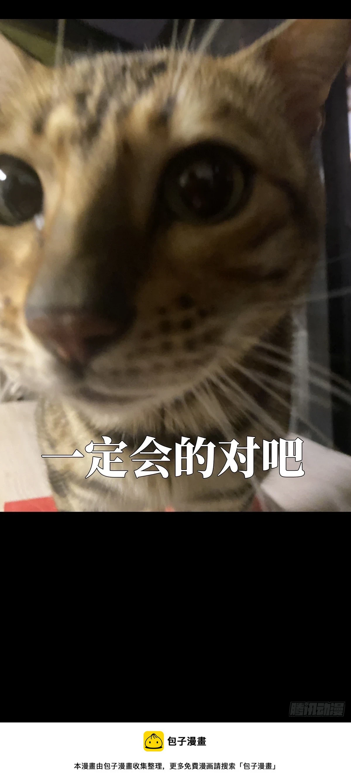 第二百九十一章_目标下 第51页