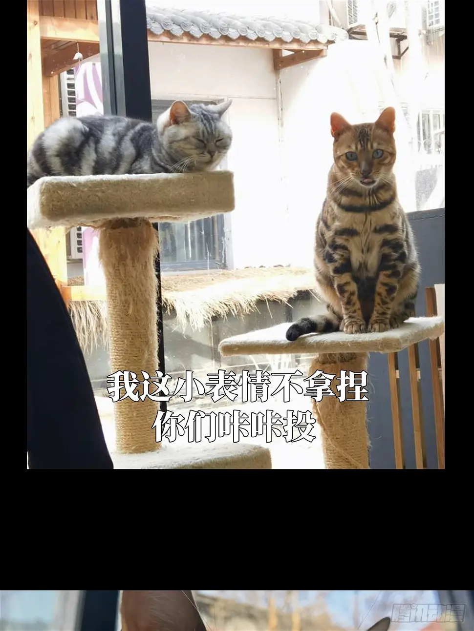 第二百九十三章_入侵中 第40页