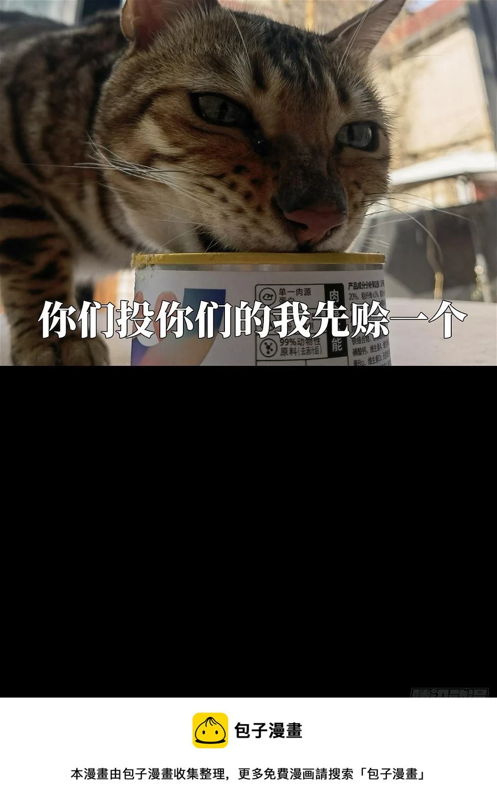 第二百九十三章_入侵中 第41页