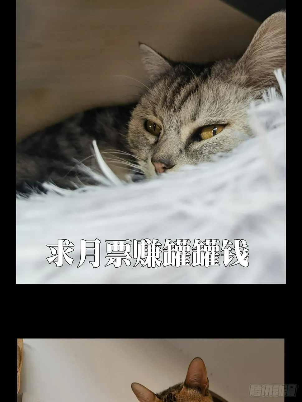 第三百章_怒火下 第38页