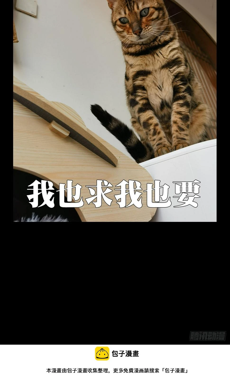 第三百章_怒火下 第39页