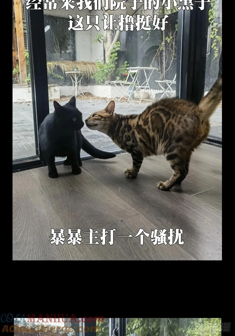 第三百五十一章_登位上 第49页