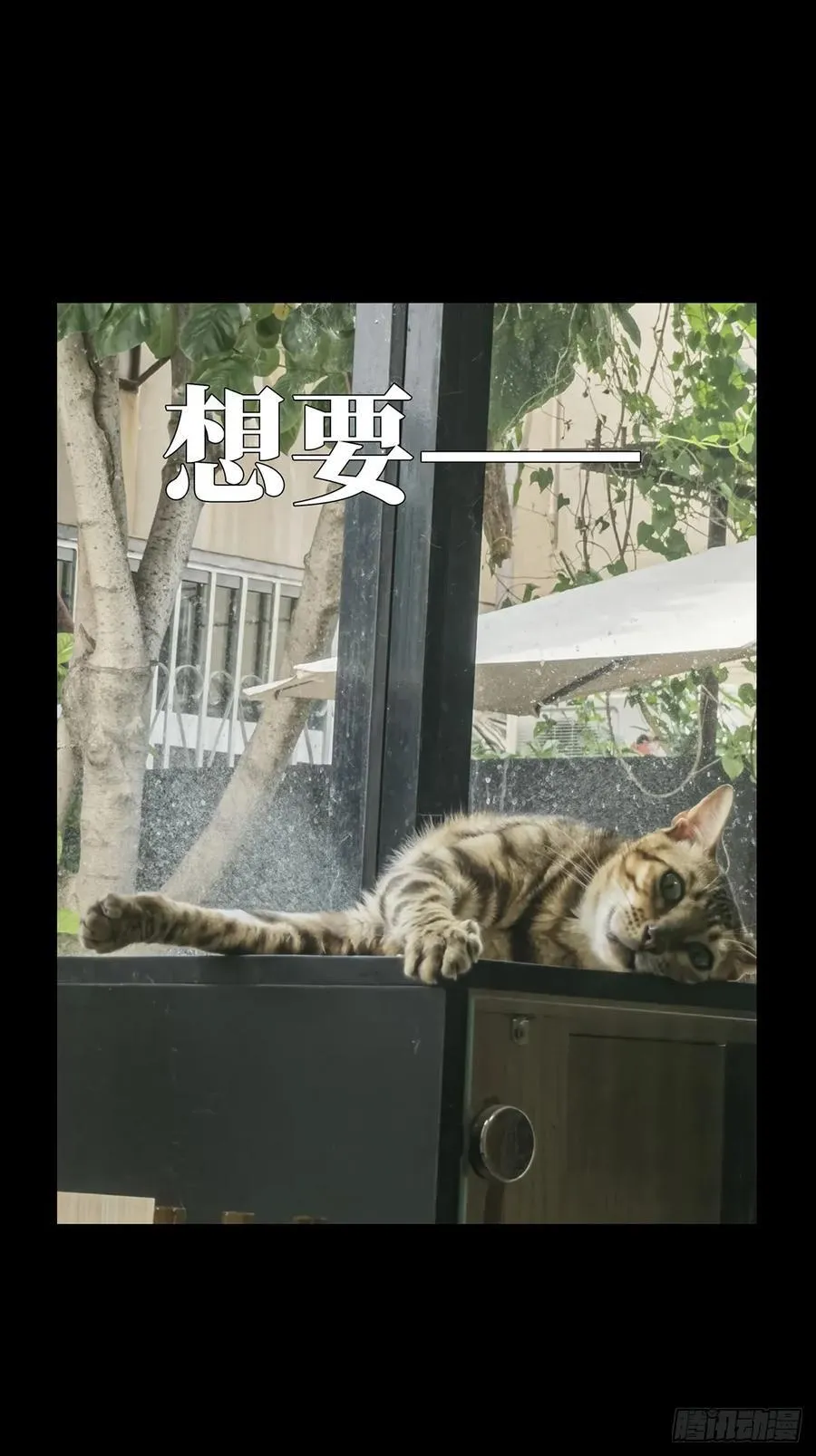 第三百三十七章_因果中 第50页