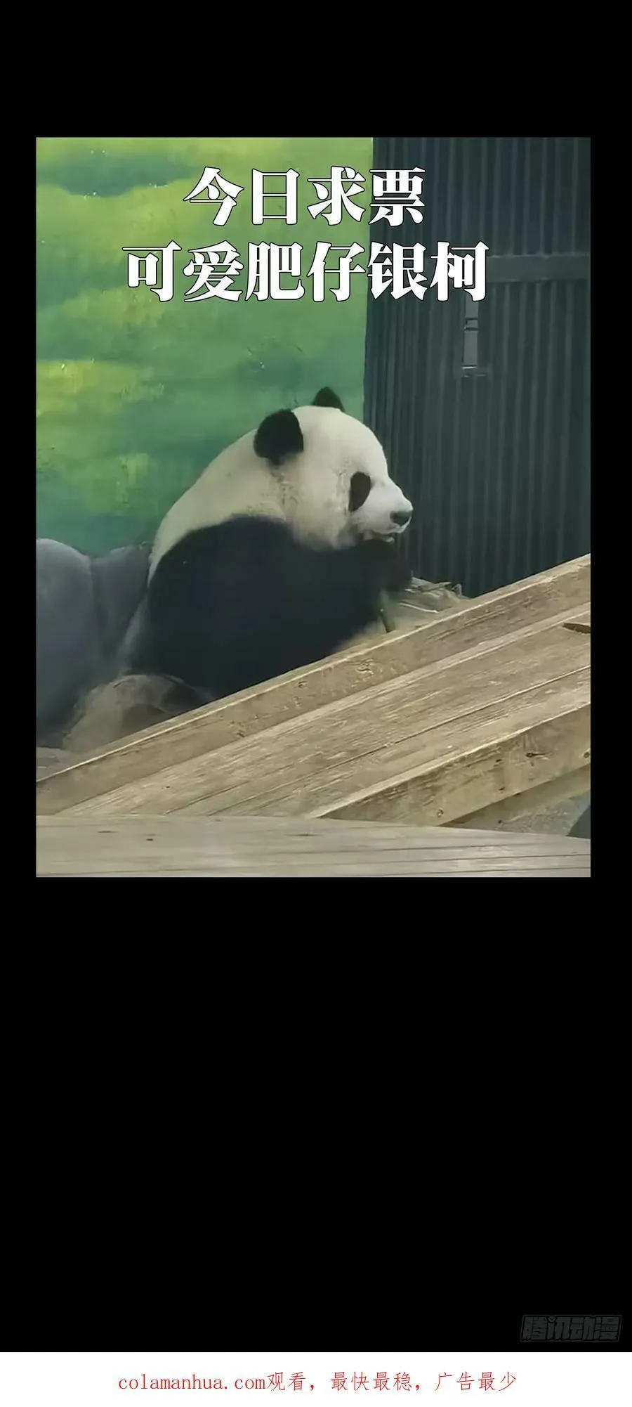 第三百三十一章_孽缘中 第48页