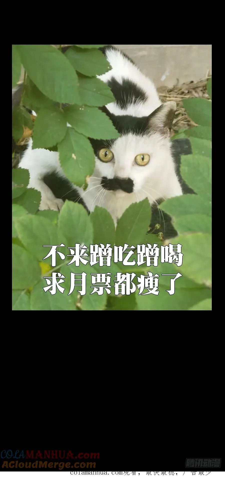 第三百三十章_孽缘上 第58页