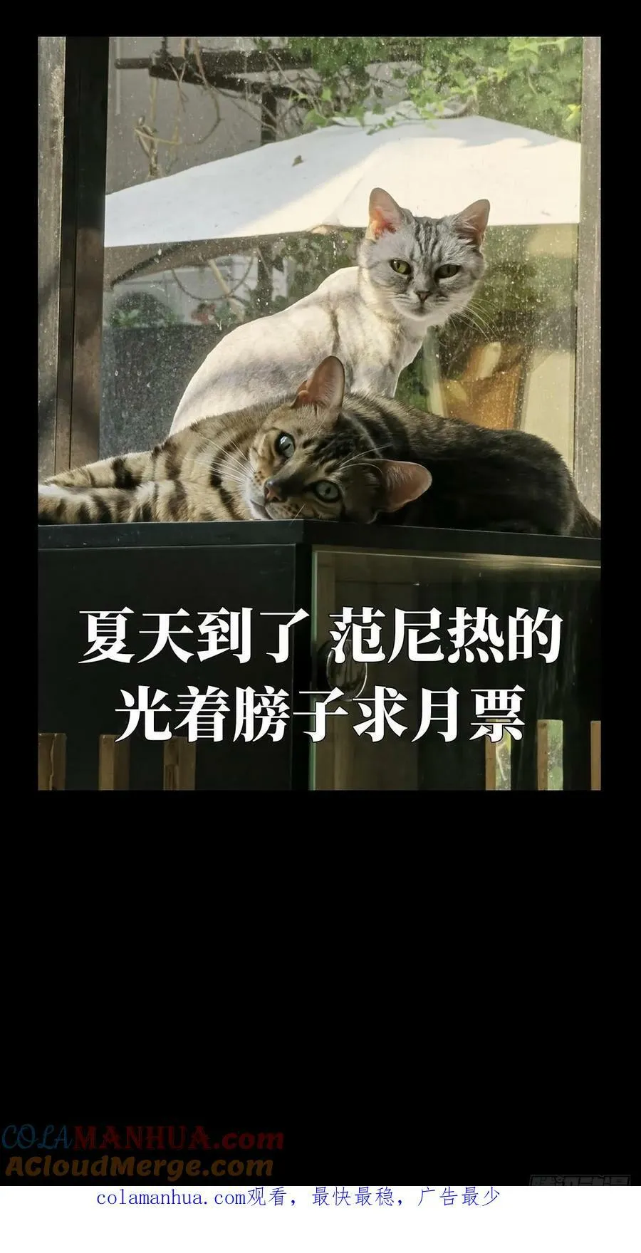 第三百二十九章_神下 第43页