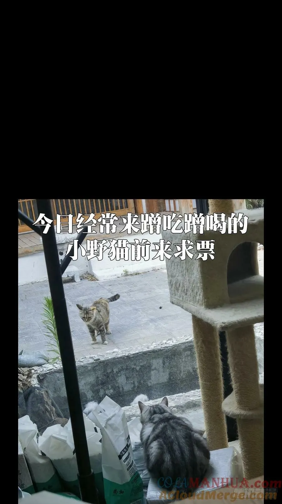 第三百二十八章_神中 第46页