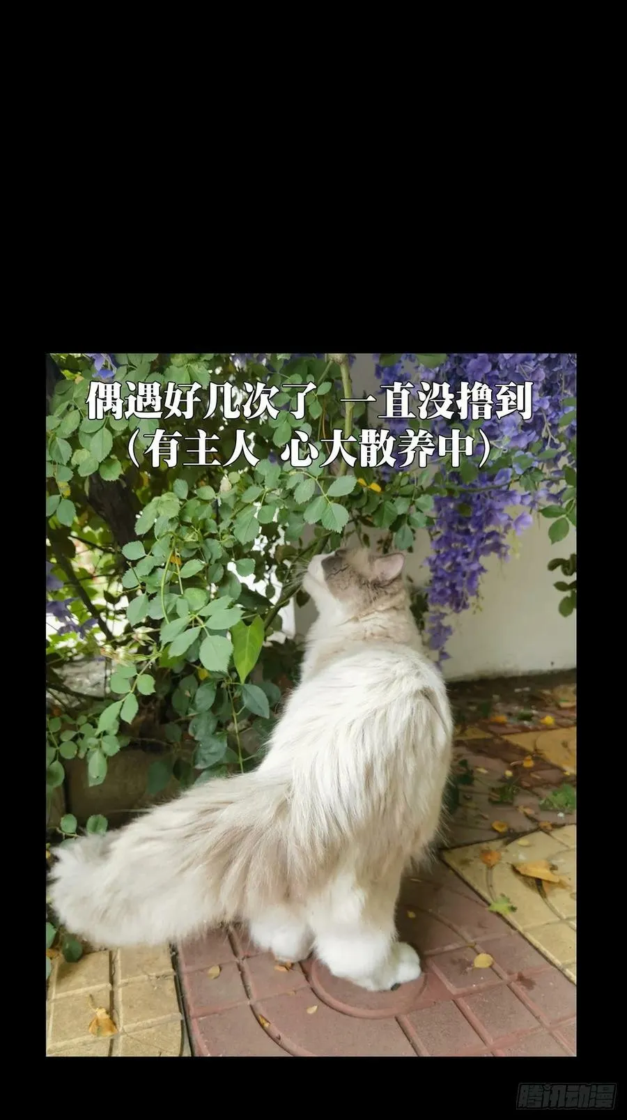 第三百二十五章_活下去中 第44页