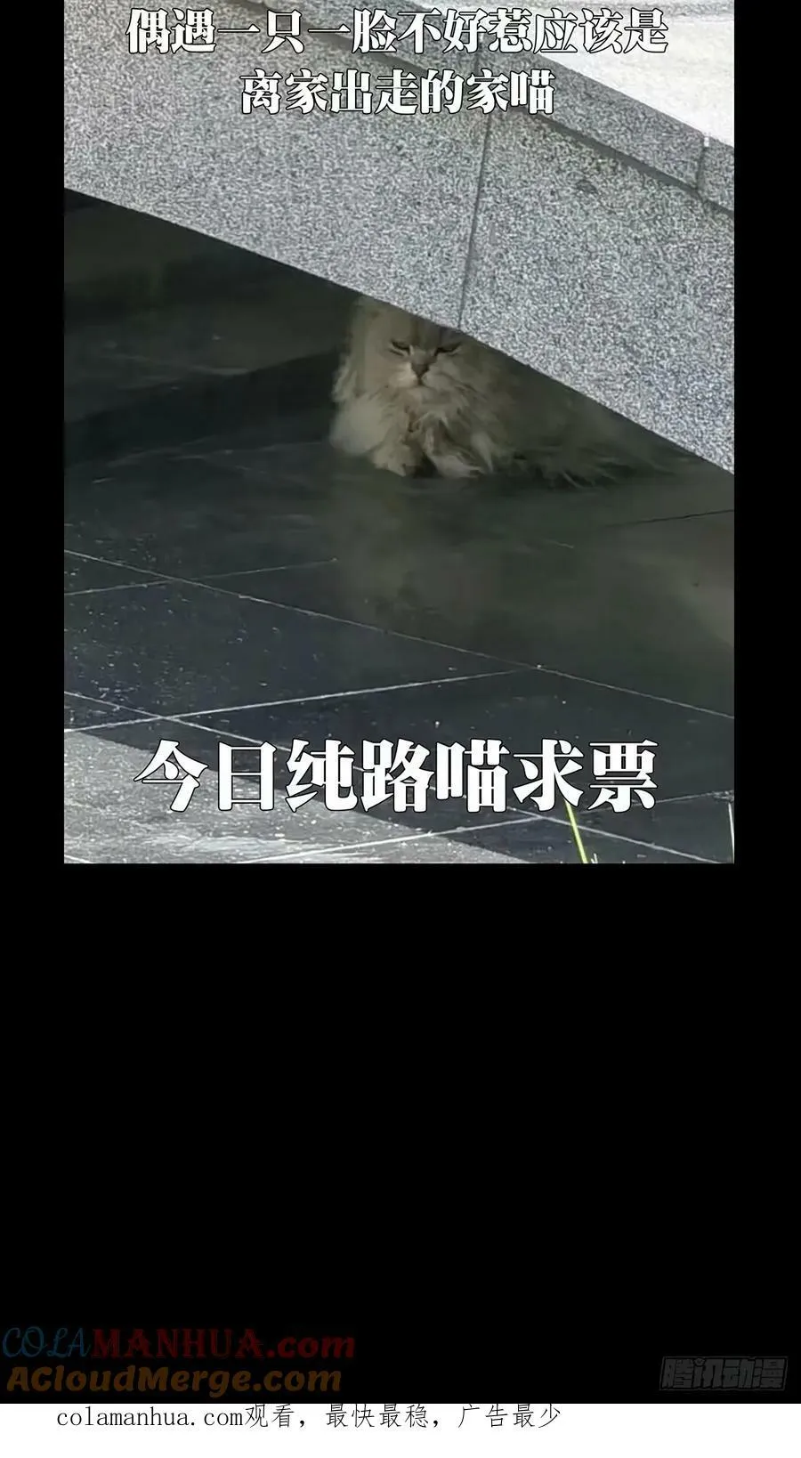 第三百一十八章_奇袭上 第43页