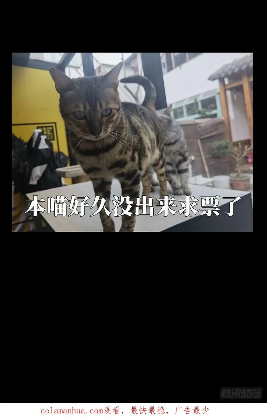 第三百一十七章_邪通神下 第45页