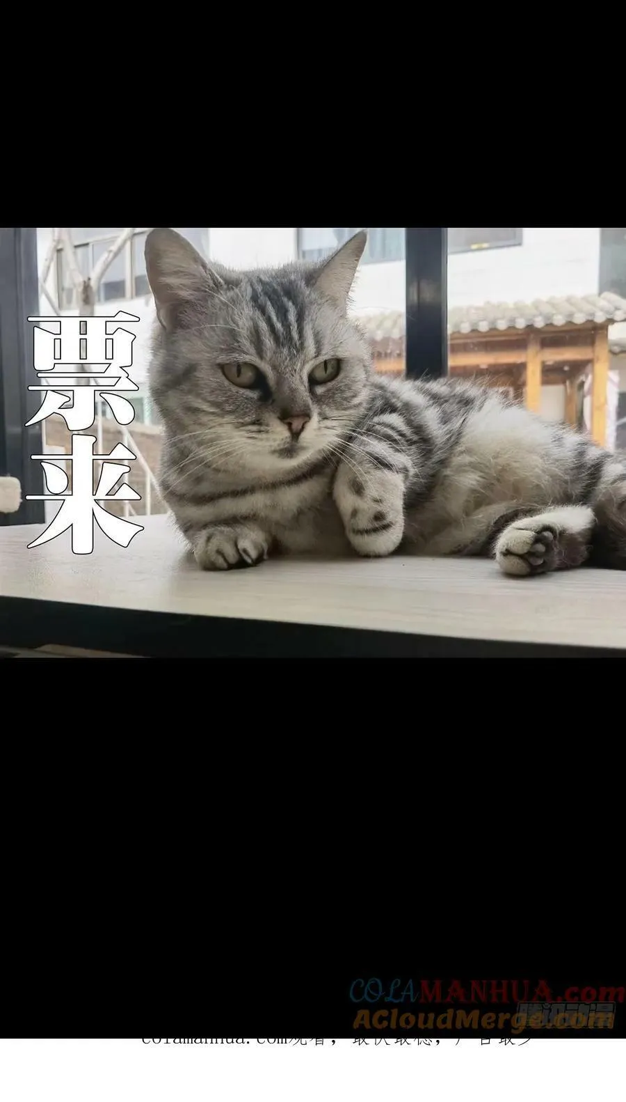 第三百零八章_宿命中 第46页