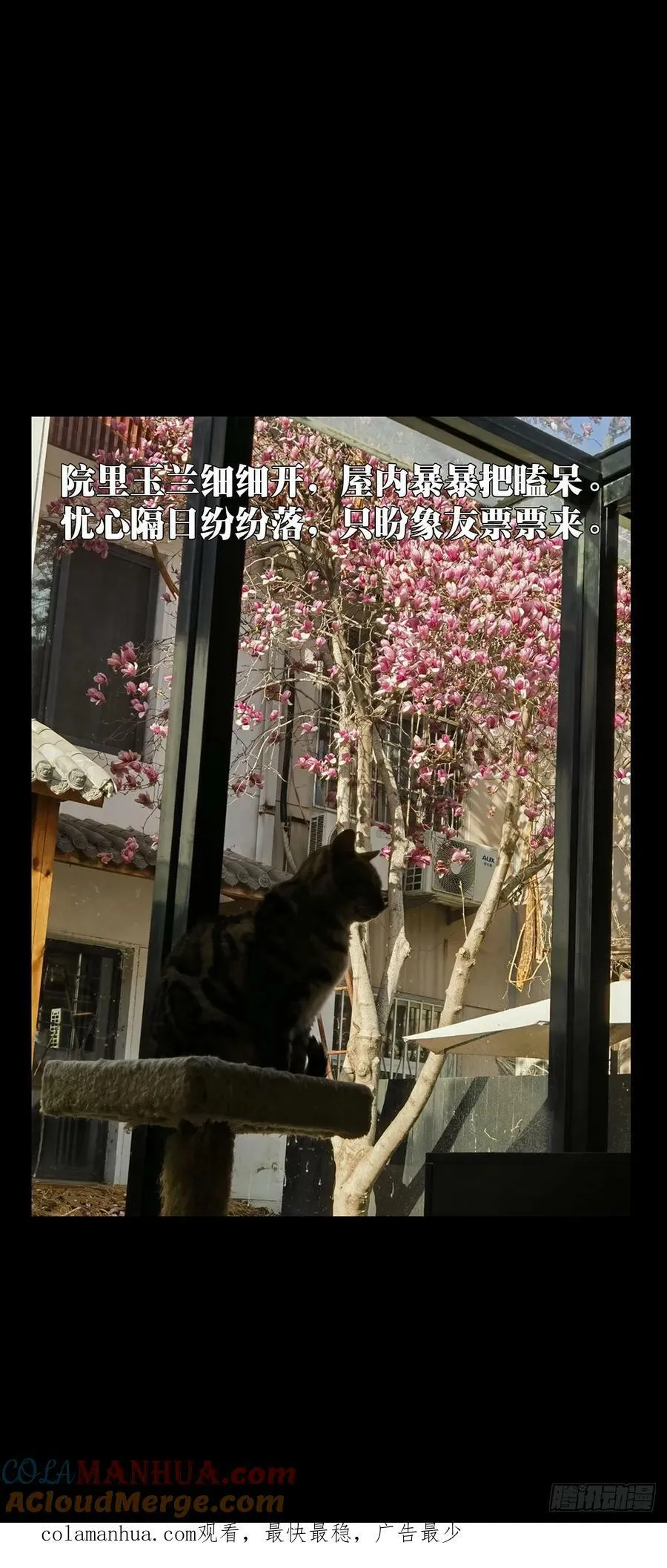 第三百零一章_金蝉脱壳上 第39页