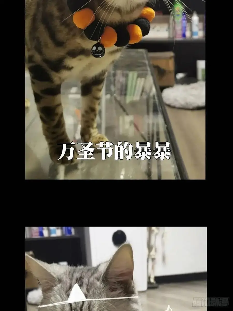 第三百六十四章_出阳神中 第60页