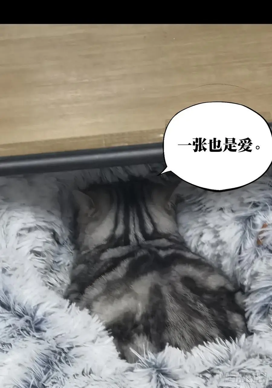 第三百七十八章_六雷上 第57页