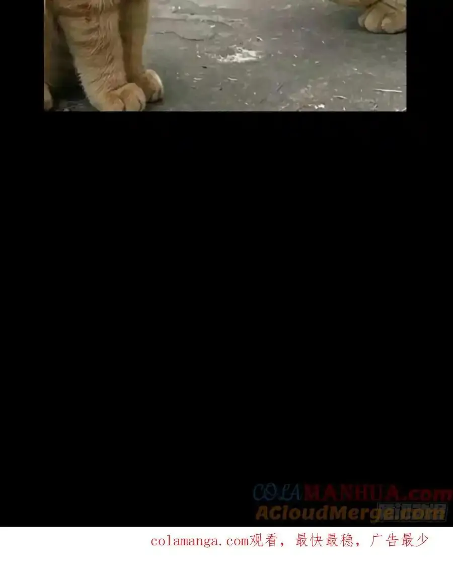 第三百八十一章_追踪上 第55页