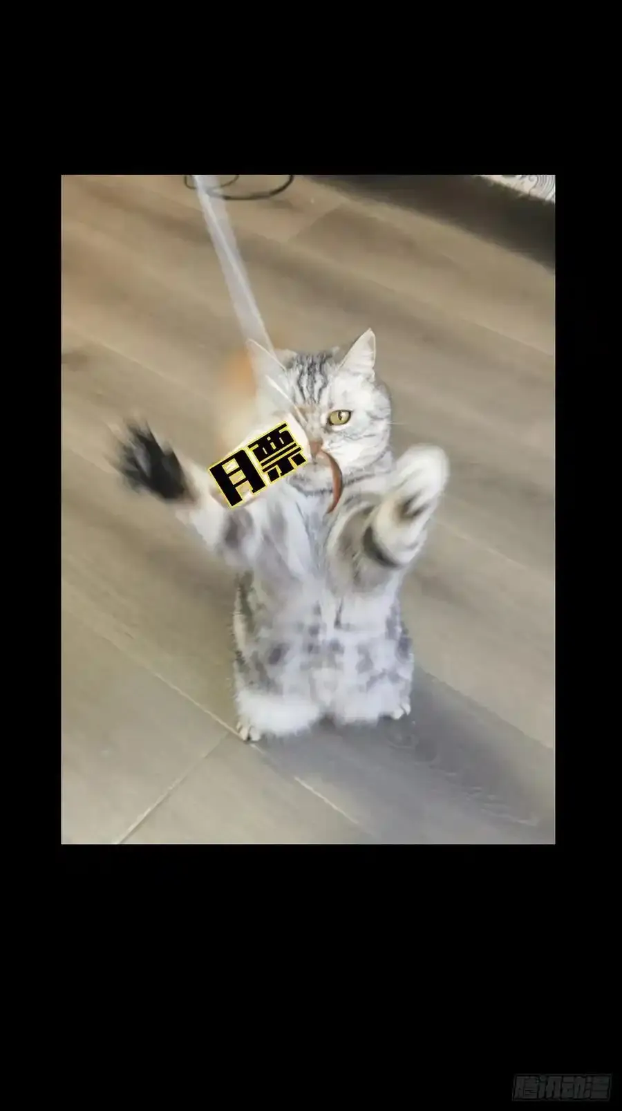 第三百八十二章_追踪中 第48页