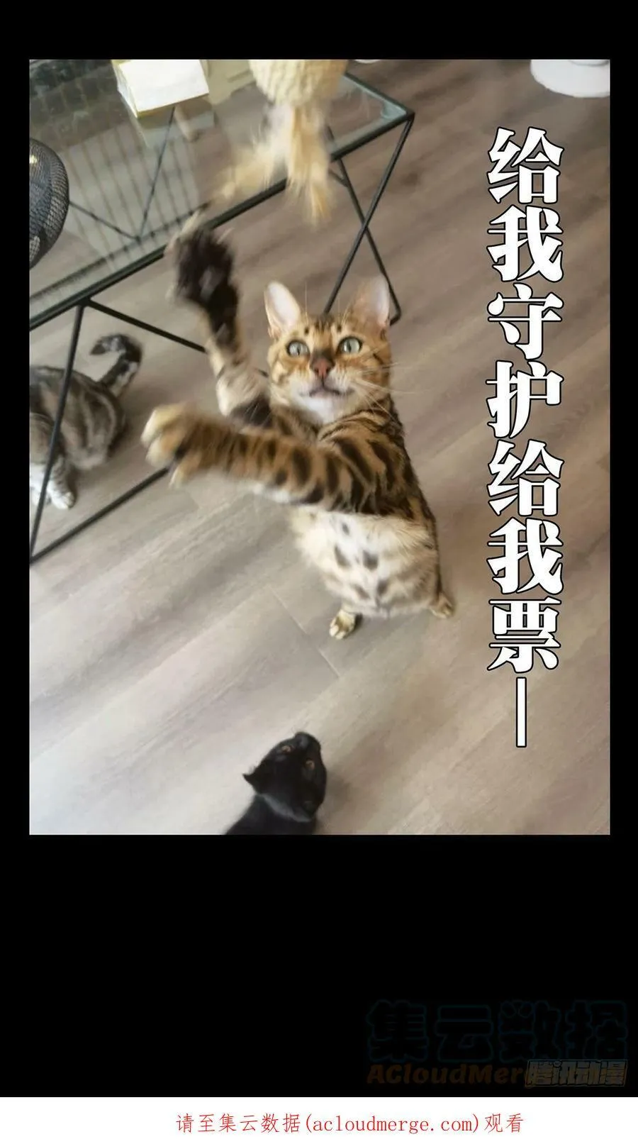 第二百三十二章_小巫主上 第46页