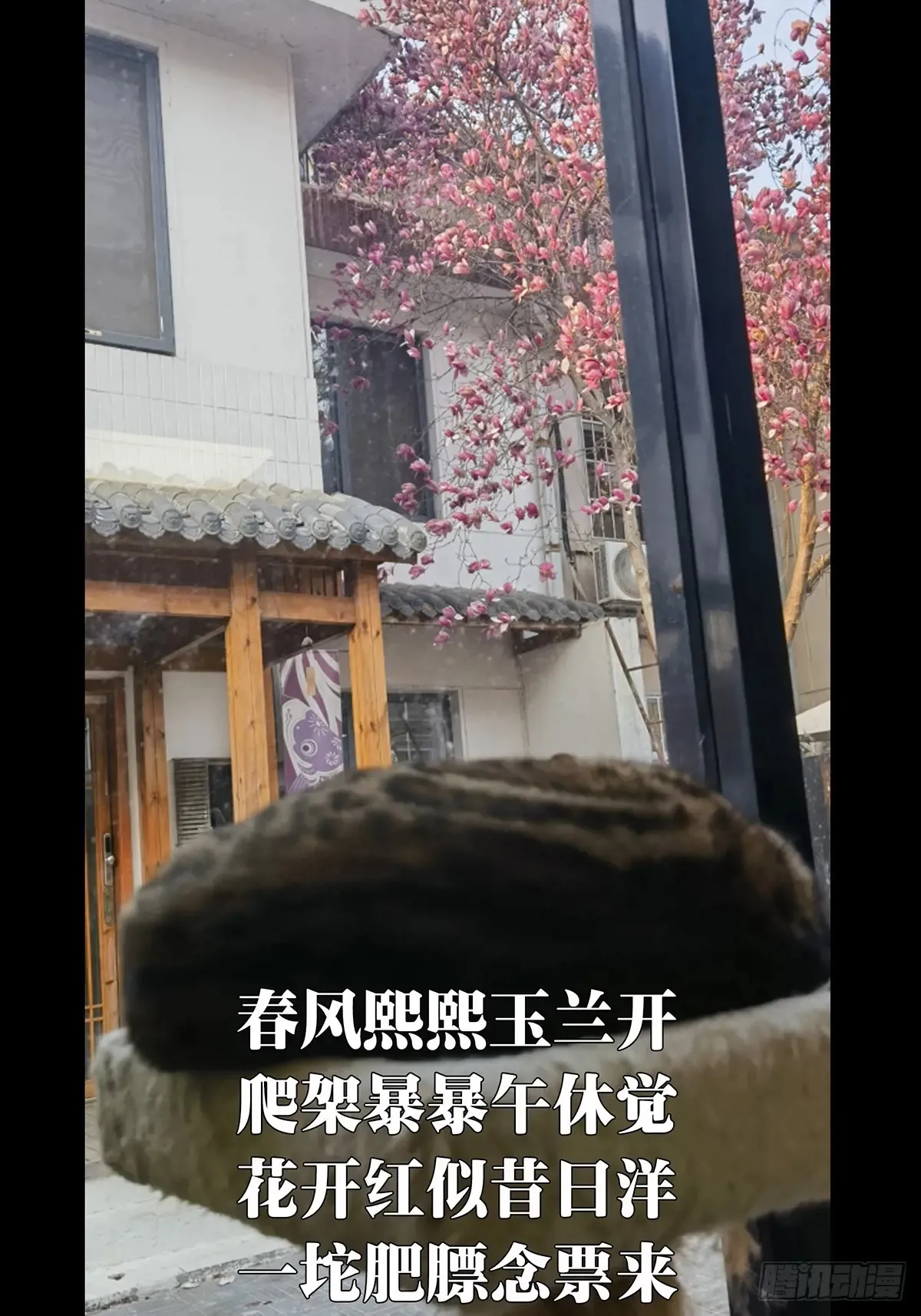 第四百零三章/看戏中 第51页