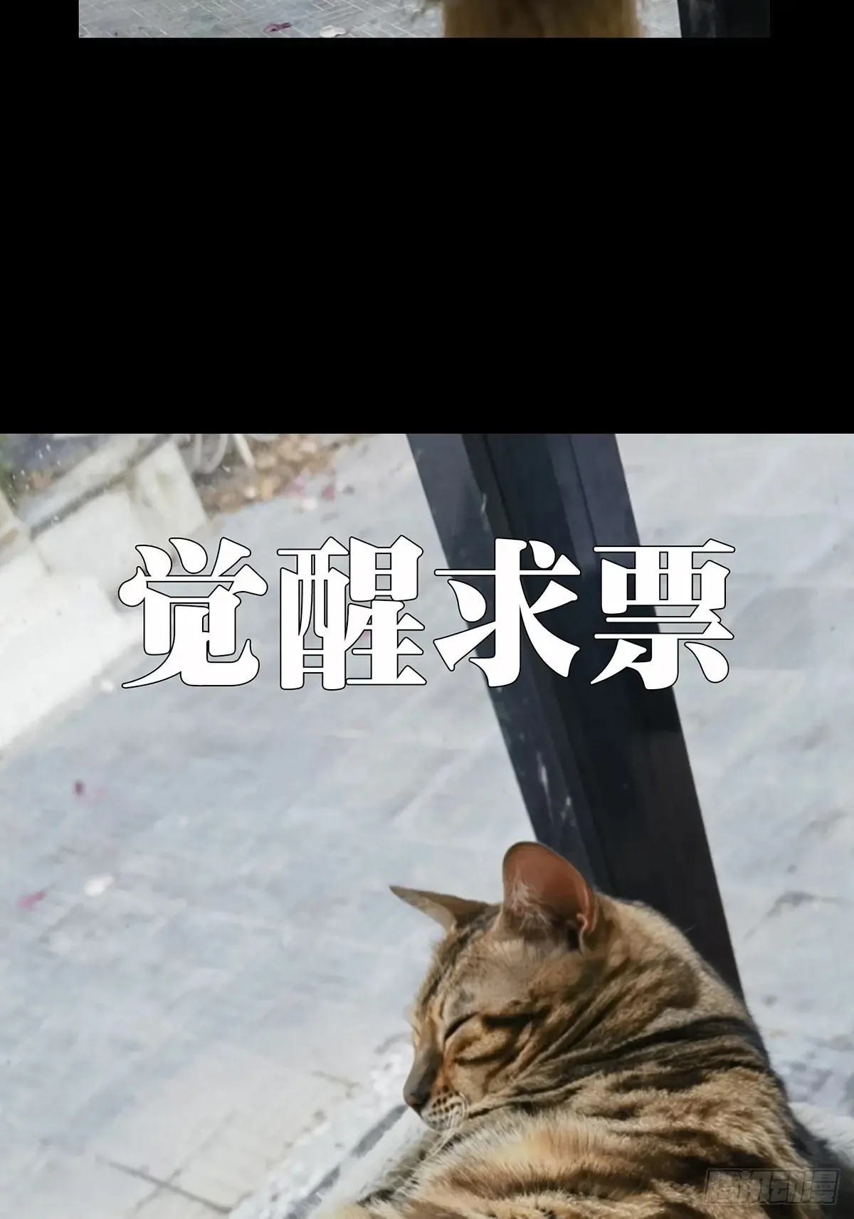 第四百零三章/看戏中 第52页