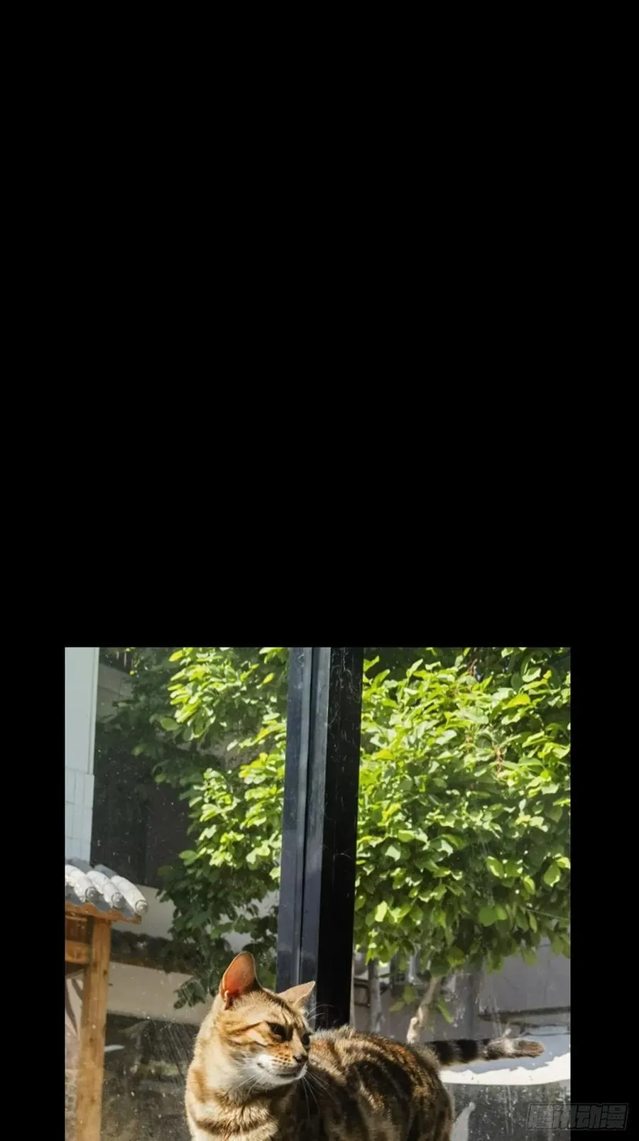 第四百二十二章_毒下 第48页